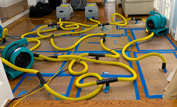 Professional Storm Water Damage Restoration technician working in Madison, NJ
